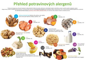 Alergeny v potravinách